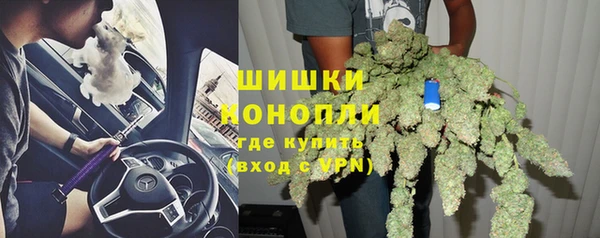 гашик Арсеньев